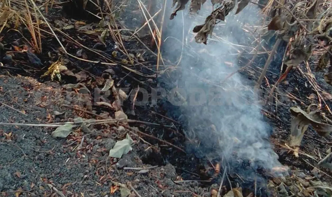 Denuncian incendio activo en las faldas del Cañón
