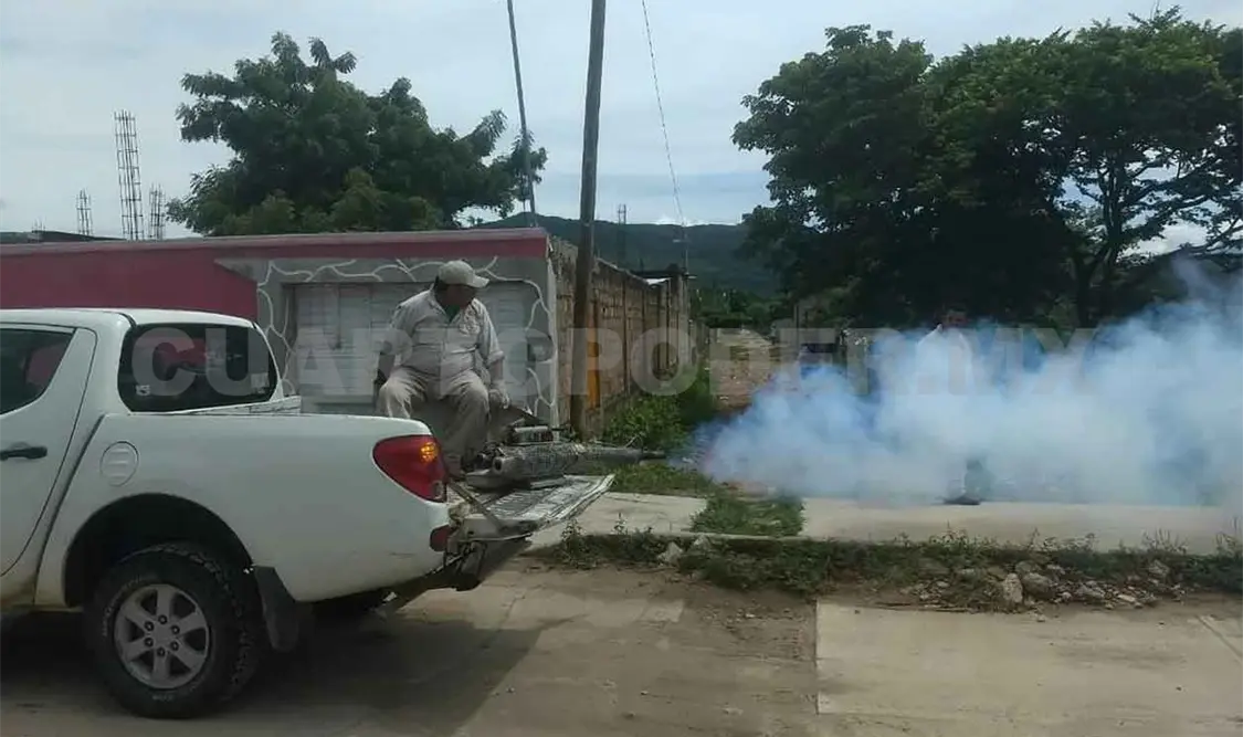 Chiapas, tercer lugar en casos de dengue
