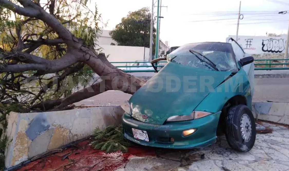 Destruyó su Cavalier y derribó un arbolito