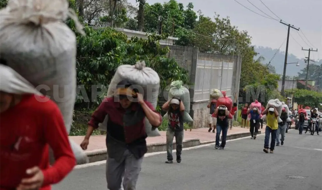 Los organizadores lamentaron que se tengan que cancelar este tipo de actividades que sirven como un aliciente al sector cafetalero. Rafael Victorio / CP
