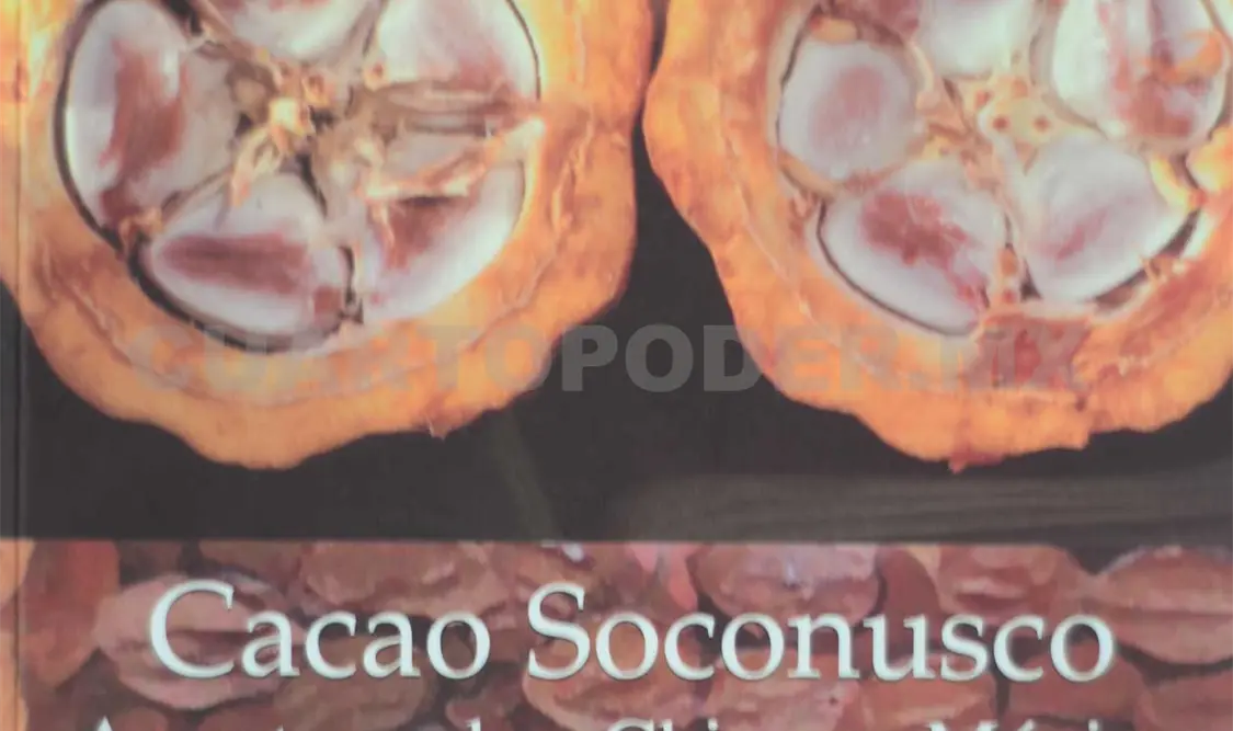 La portada del libro. Darwin Mendoza