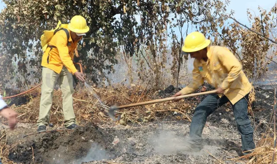 Mitigan incendios en el Cañón del Sumidero