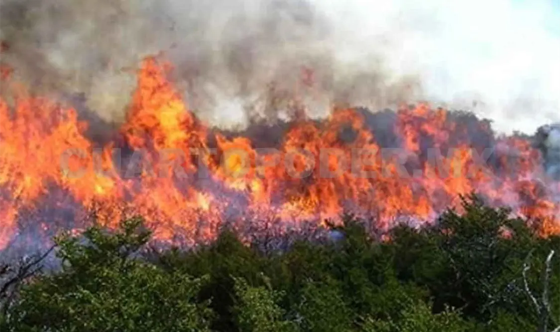 Continúan incendios en Vida Mejor