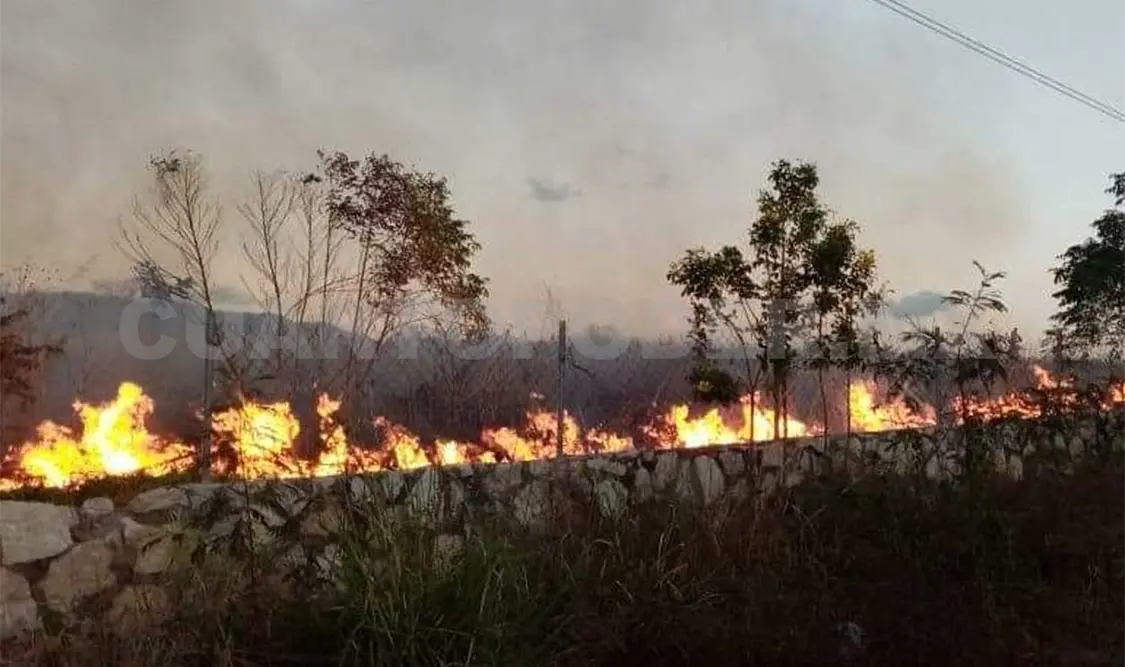 Gran parte de los incendios generados cerca de la ciudad, son de pastizales. CP