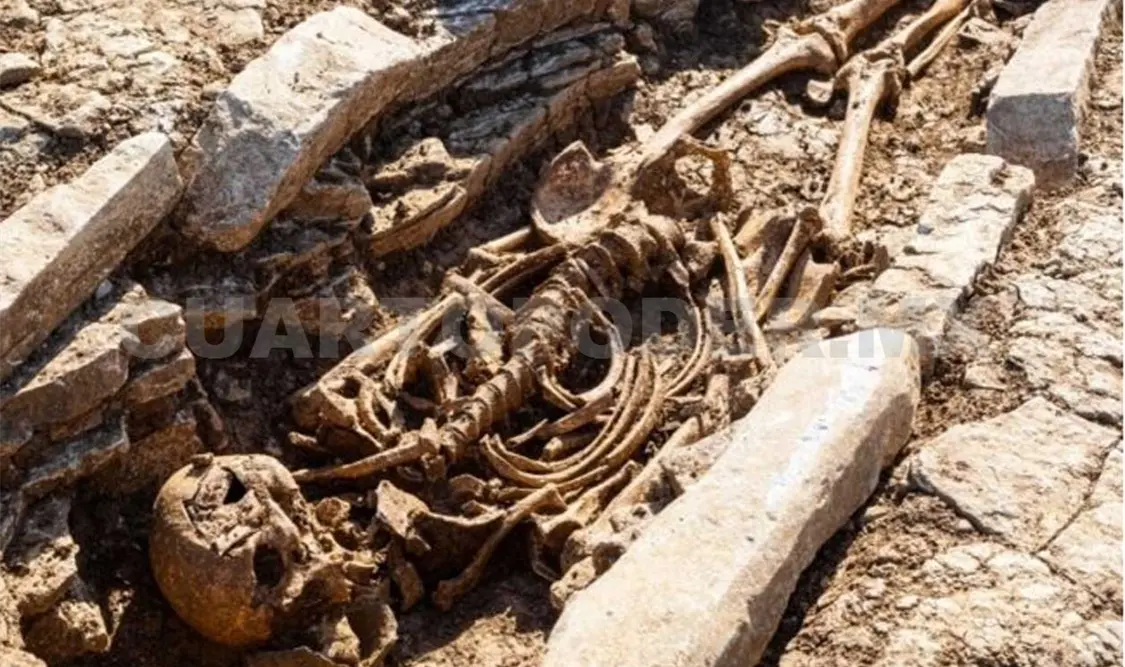 En el lugar se encontraron cerca de 50 cadáveres. Cortesía