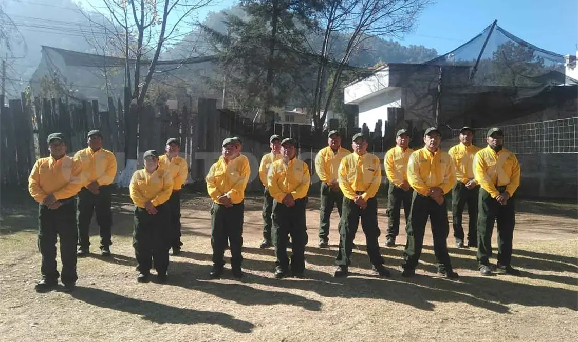 Combatientes tendrán garantías en su labor