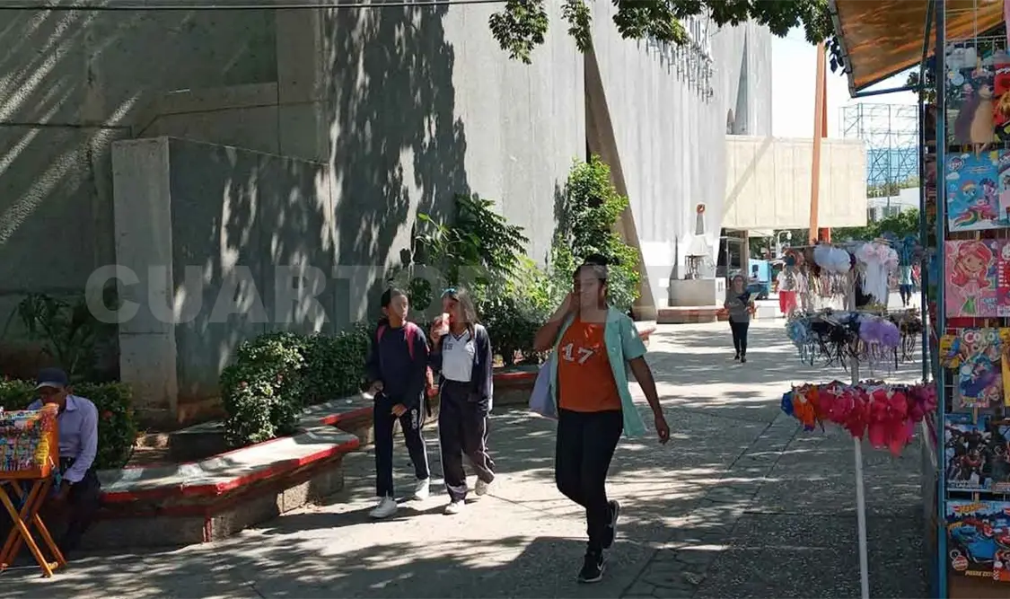 Llaman a liberar parques de comercios semifijos