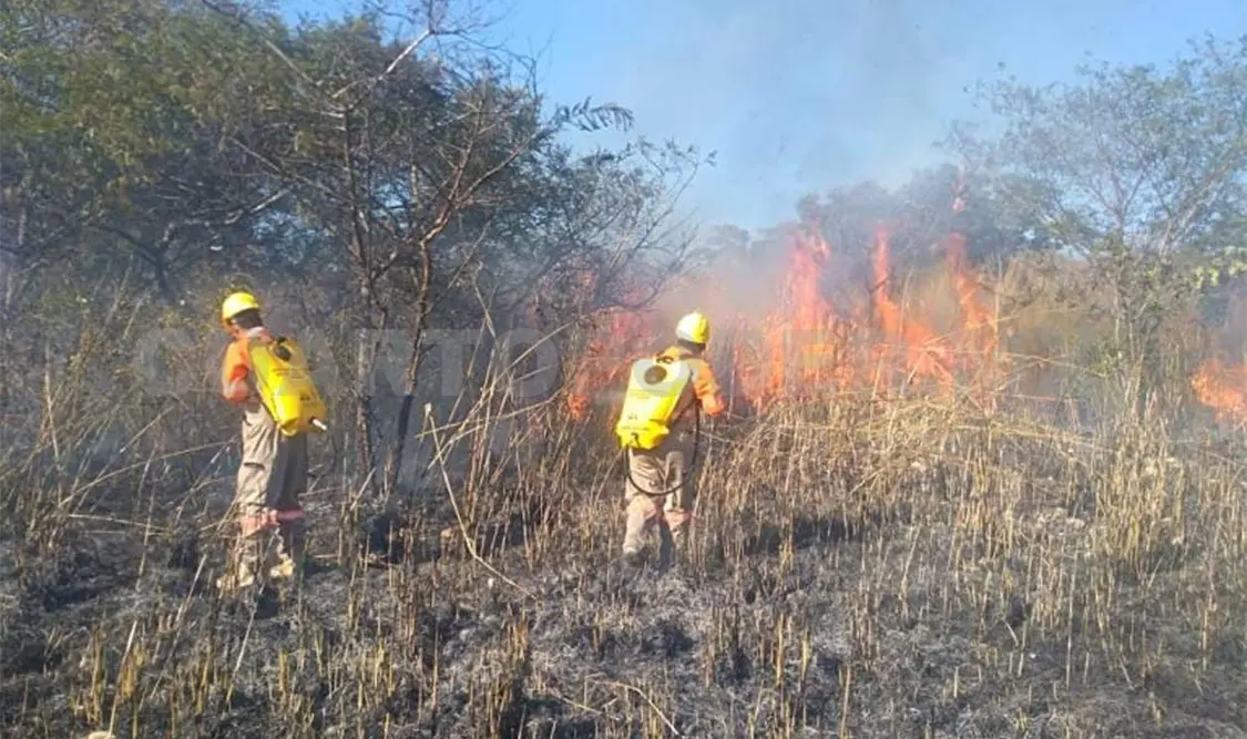 Cero tolerancia para quien provoque incendios