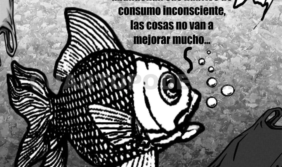 Prohibición de plásticos desechables