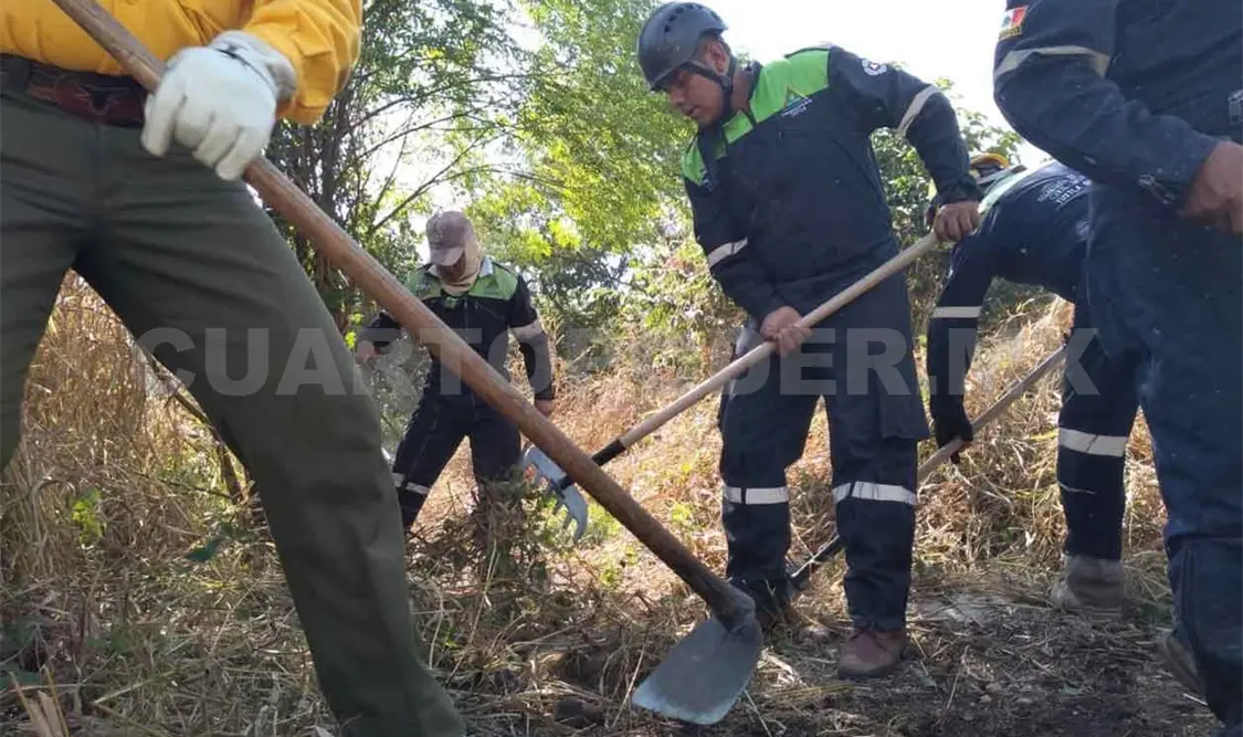 Dañadas las primeras 18 hectáreas por incendios