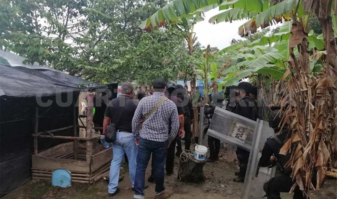 Recuperan 452 hectáreas invadidas más en Chiapas