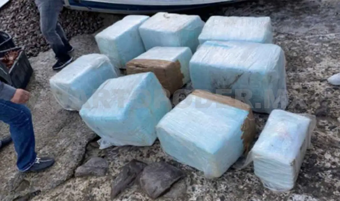 Decomisan 300 kilos de droga