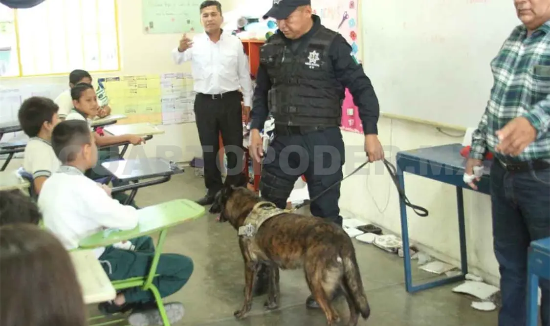 Operativo “Mochila” atenta contra la dignidad de menores