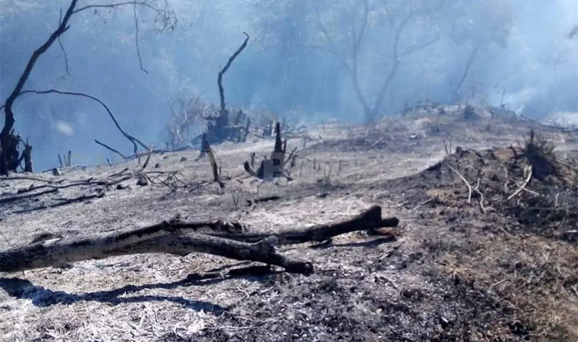 Chiapas, tercer estado con más incendios