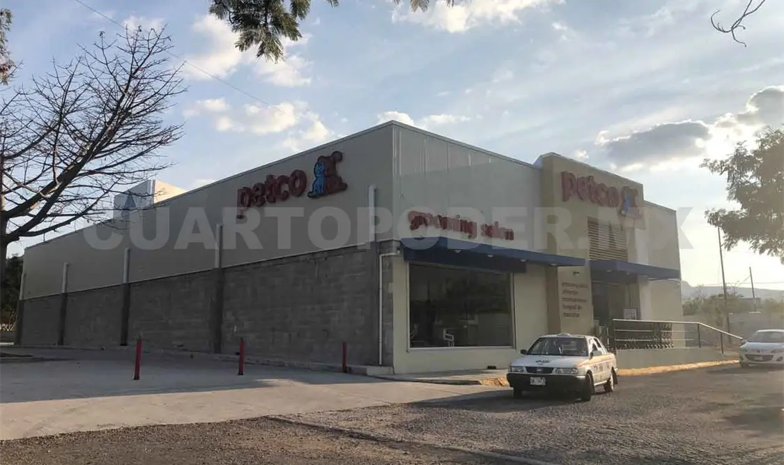 Roban 100 mil pesos en tienda de mascotas