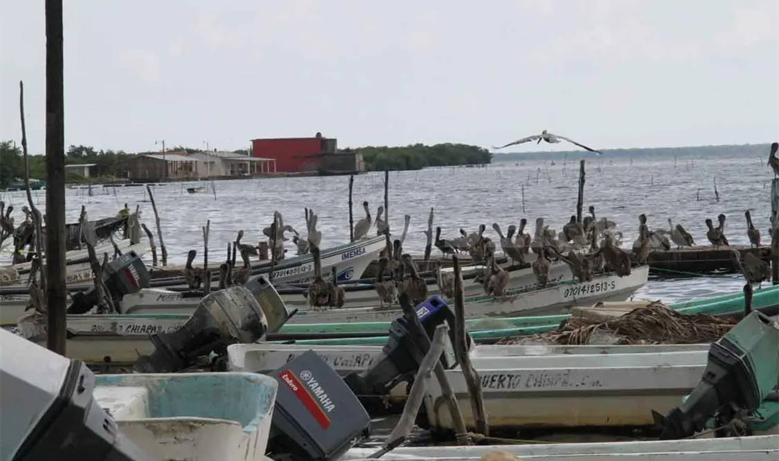 Por fuertes vientos pescadores suspenden actividades