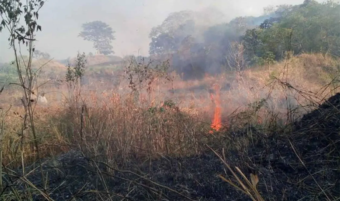 Activan alerta por incendios de pastizales