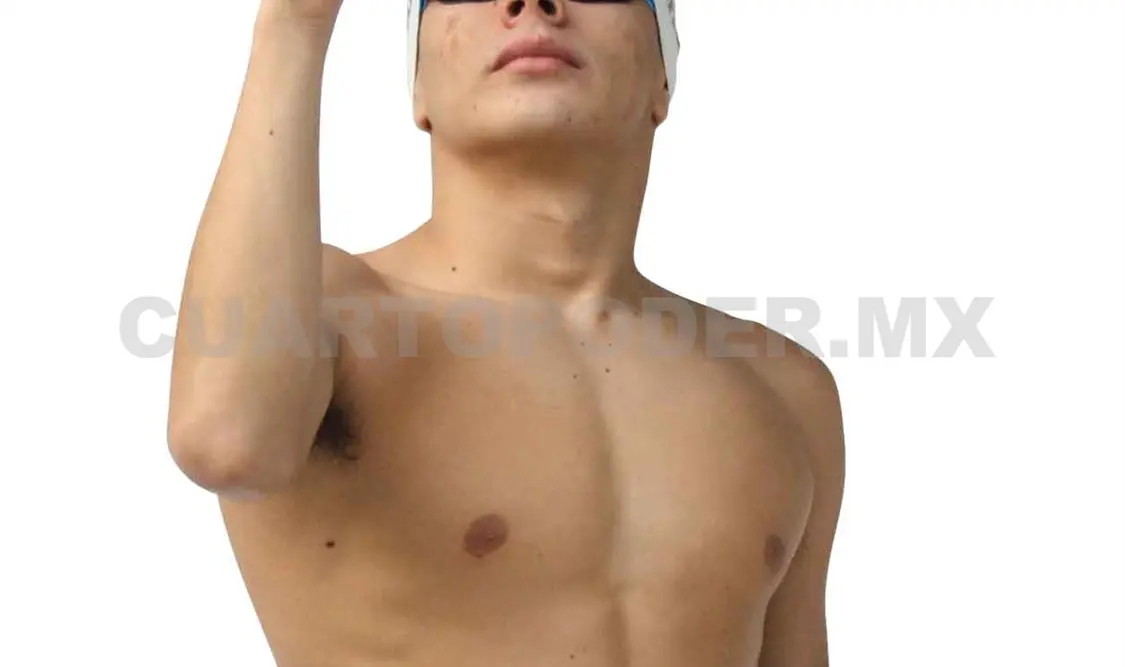 Delfines surcarán las aguas de Huatulco