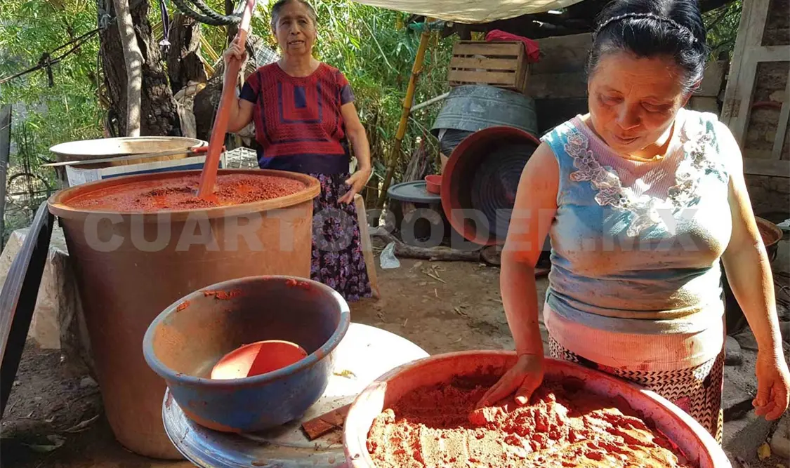 Hace tan sólo 10 años era una de las actividades productivas que tenían mayor presencia en la zona, sólo después del café. El Universal