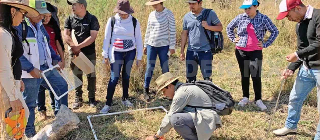 Enseñaron a como estimar la fijación y almacenamiento de carbono en biomasa aérea y en el suelo. Cortesía