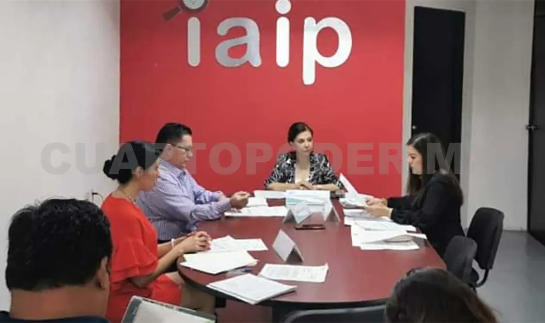 La comisionada Elisa López Coello dijo que seguirán vigilando que las instancias cumplan con transparencia. Cortesía