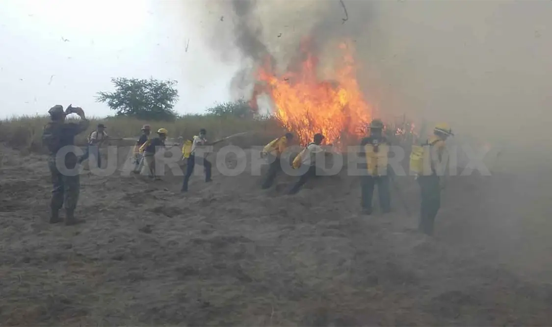 Chiapas, en “focos rojos” por incendios