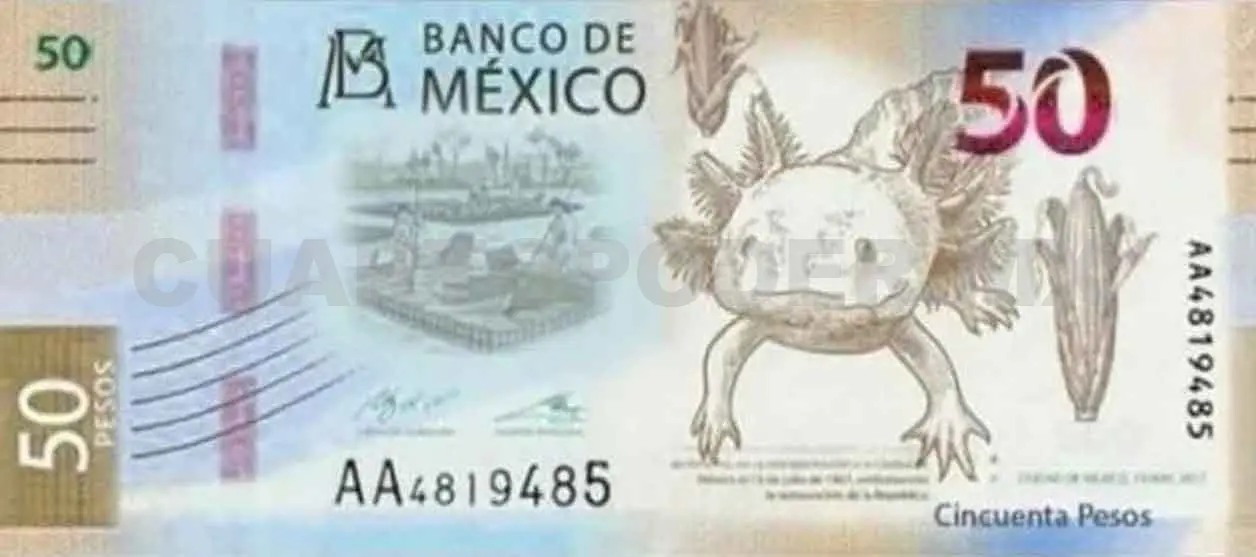 El ajolote y Xochimilco, en billete de 50 pesos