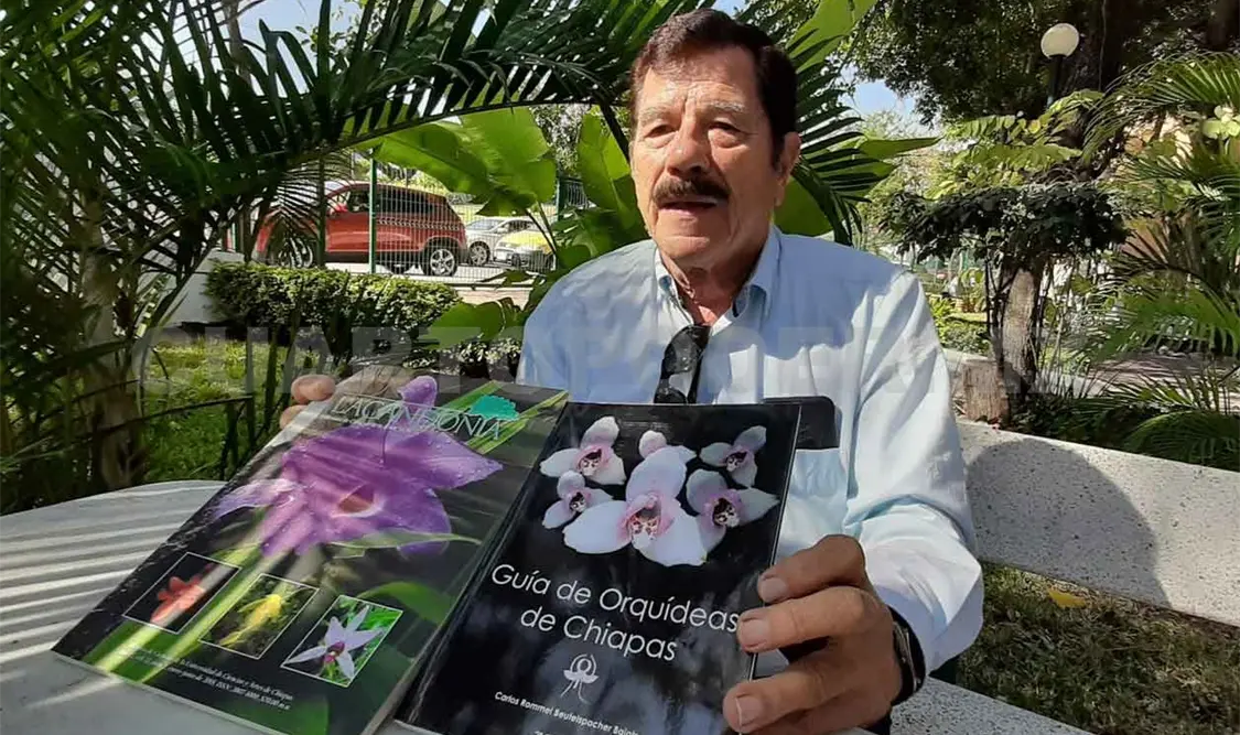 Las orquídeas se están “muriendo”: Beutelspacher