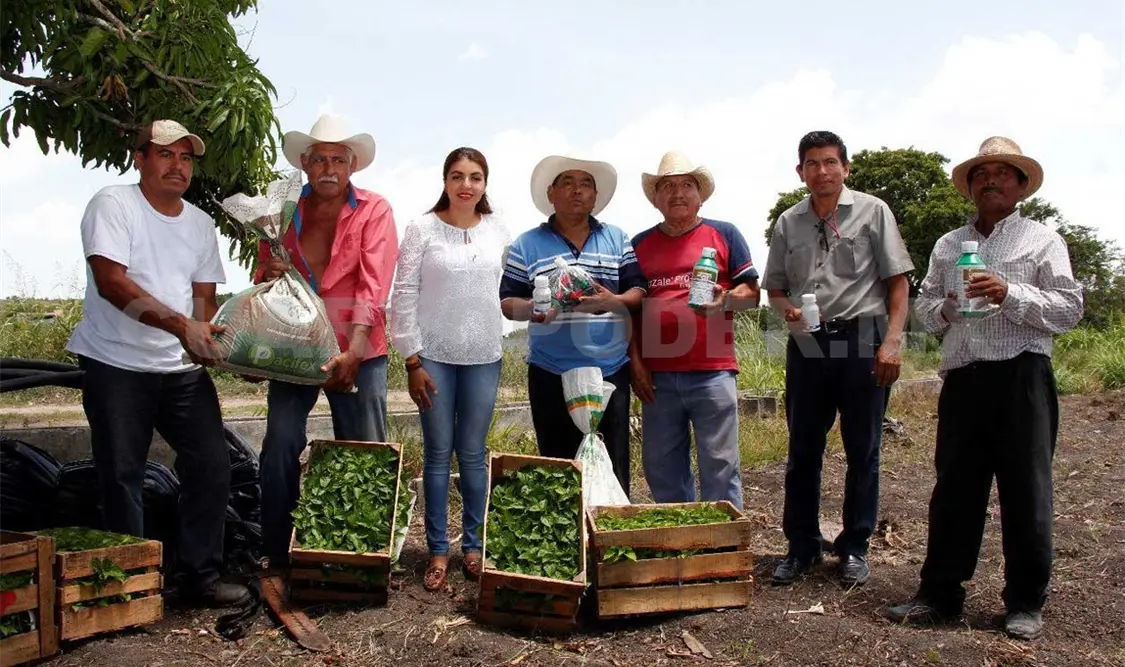 Buscan reconversión productiva de los suelos