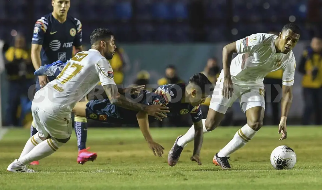 Que no diga tarugadas: “Piojo”