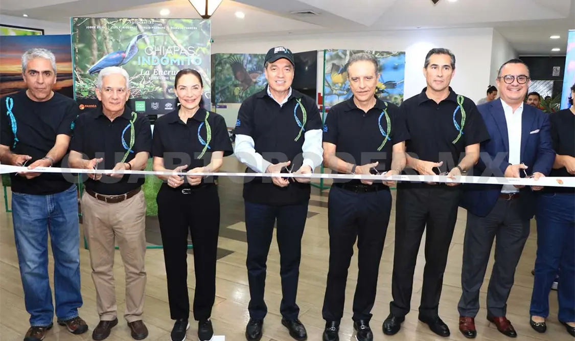 Inauguran “Chiapas Birding and Photo Festival 2020”