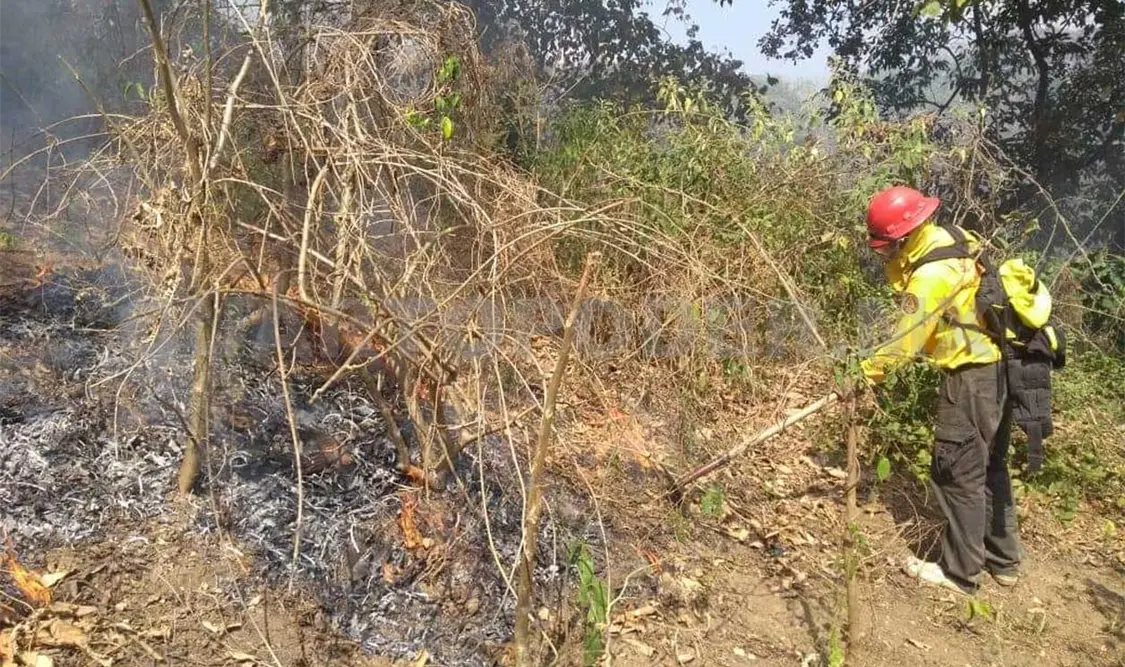 Desbordados, los incendios en Chiapas