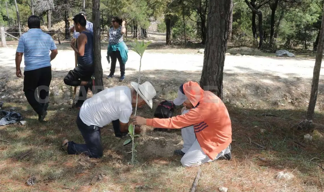 Celebra Fiscalía acuerdo reparatorio por ecocidio