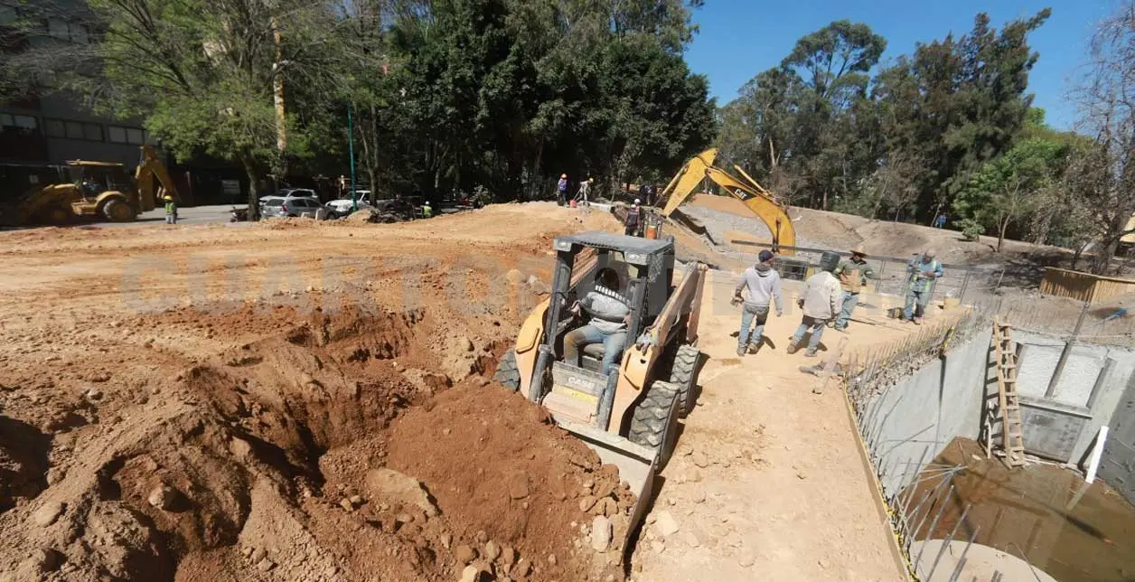 Aseguran especies tras obras en parque lineal