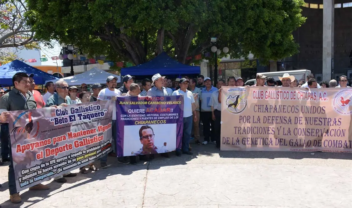 Protestan contra iniciativa a la protección animal