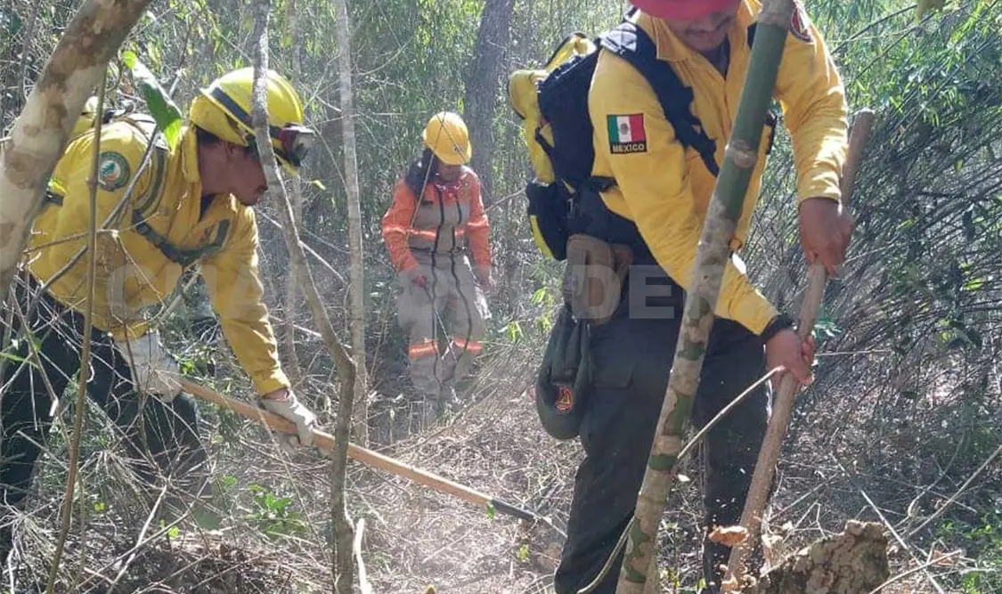 Activo un incendio forestal en Chiapas