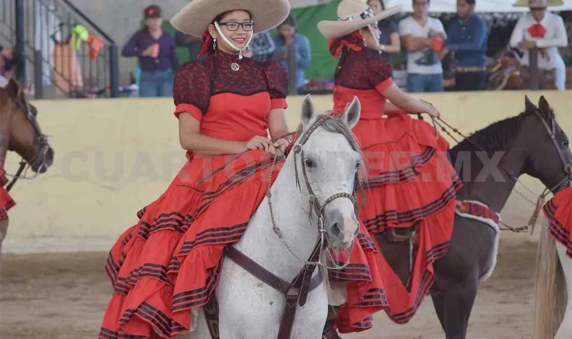 Insisten en legislar contra el maltrato animal