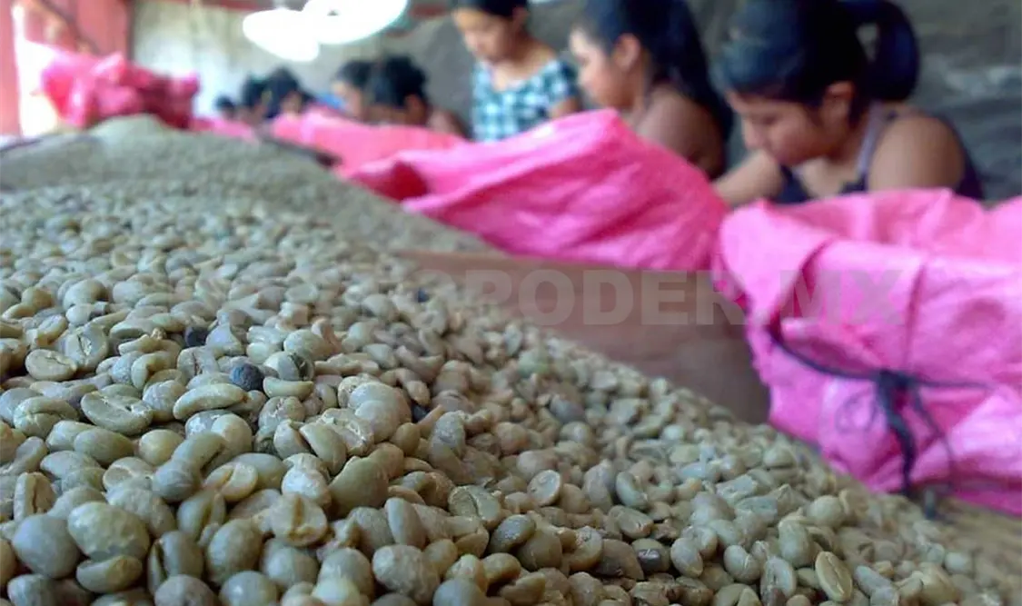 Prevalece explotación laboral en zonas agrícolas