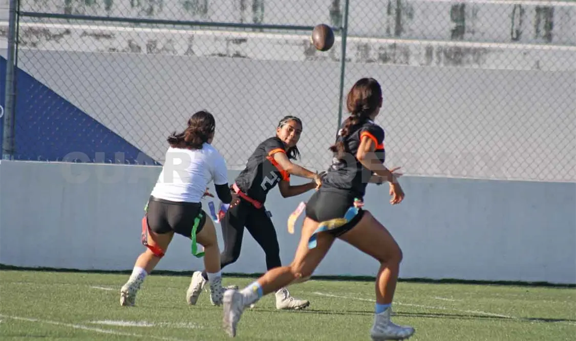 Lechuzas volaron al campeonato
