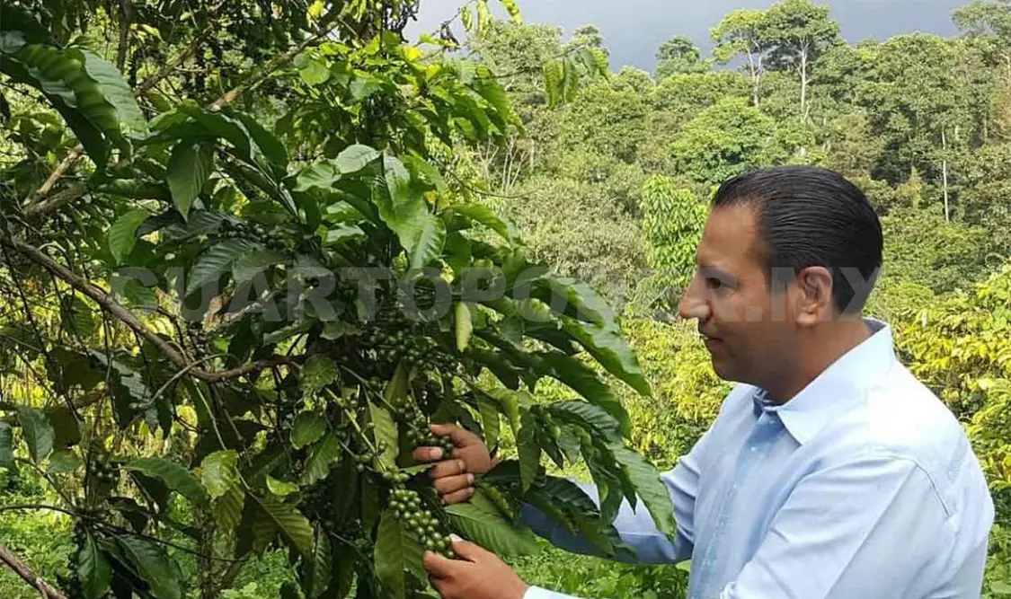 Presenta ERA iniciativa para impulsar la cafeticultura