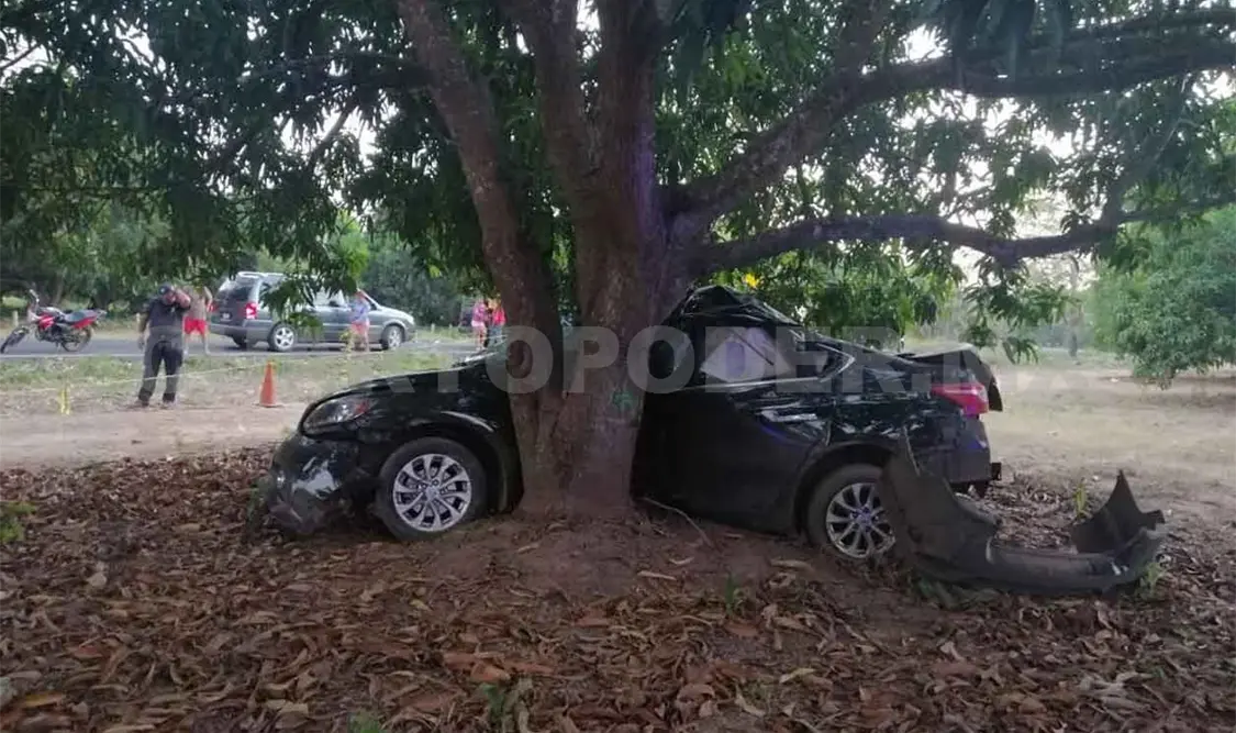 Muere conductor al estrellarse en árbol