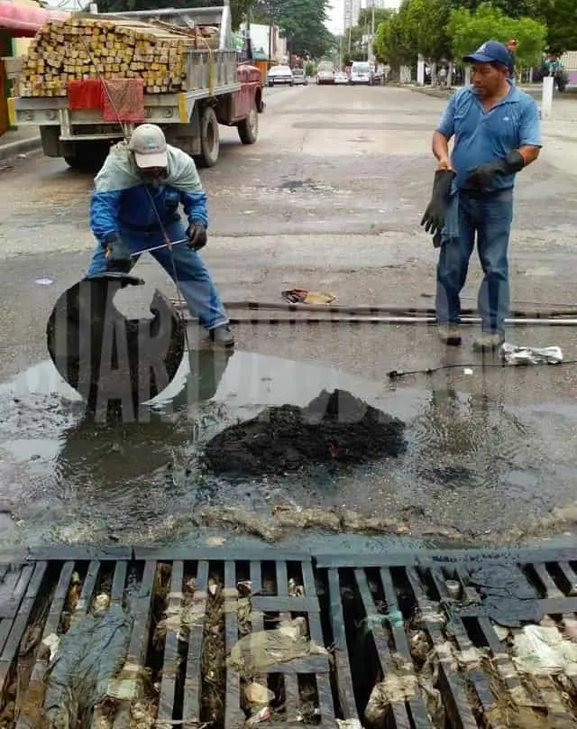 La basura ocasiona graves estragos a la infraestructura sanitaria de la ciudad. CP