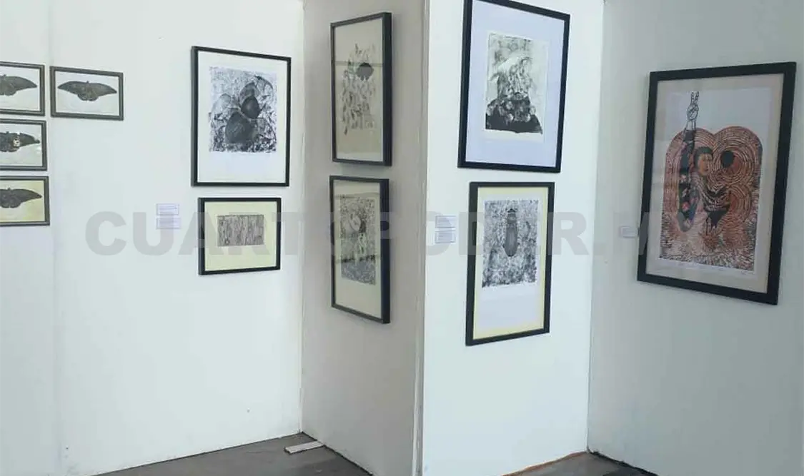 Sí hubo un cambio en la gráfica: Sandra Díaz