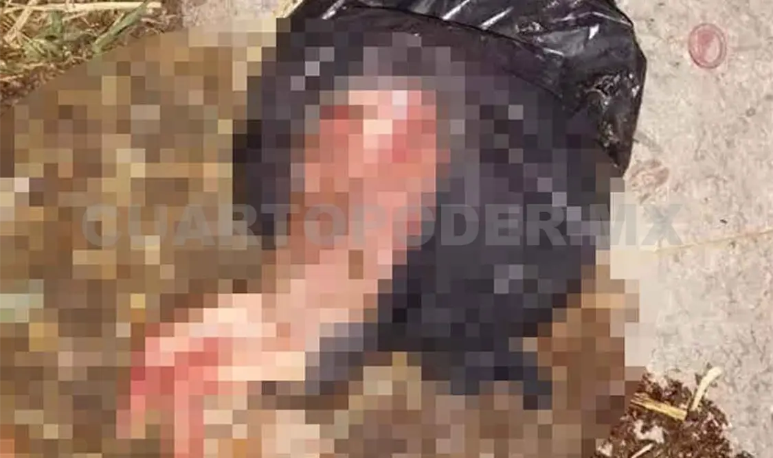 Encuentran feto en bolsa de nylon