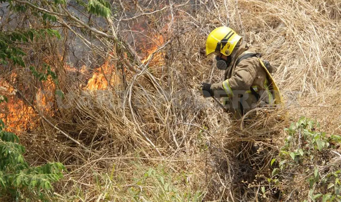Casi mil 500 puntos de calor registra Chiapas