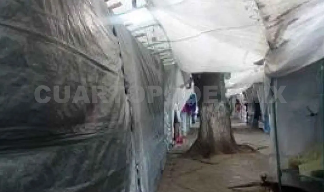 Vendedores de Santo Domingo cierran locales
