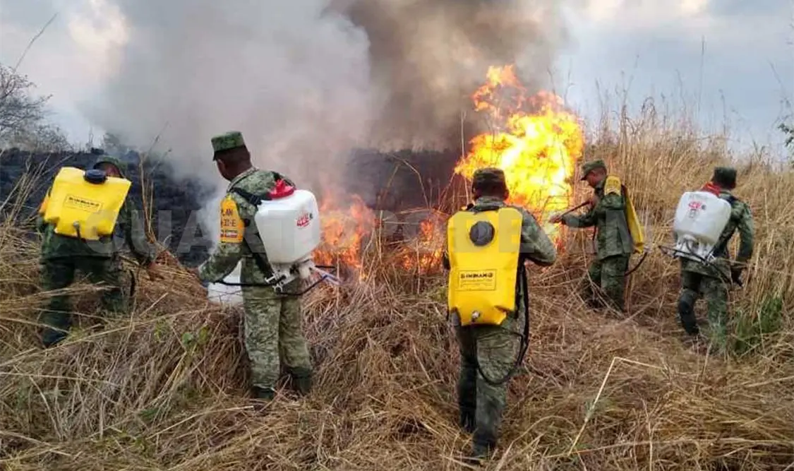 Istmo-Costa y Soconusco, las regiones en donde se podrían desencadenar los incendios de mayor consideración. Cortesía