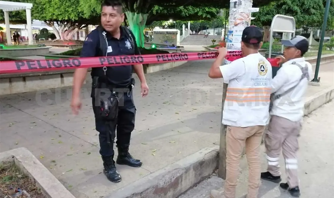 Personal de Seguridad y de Protección acordonando los alrededores de la Plaza Central. CP