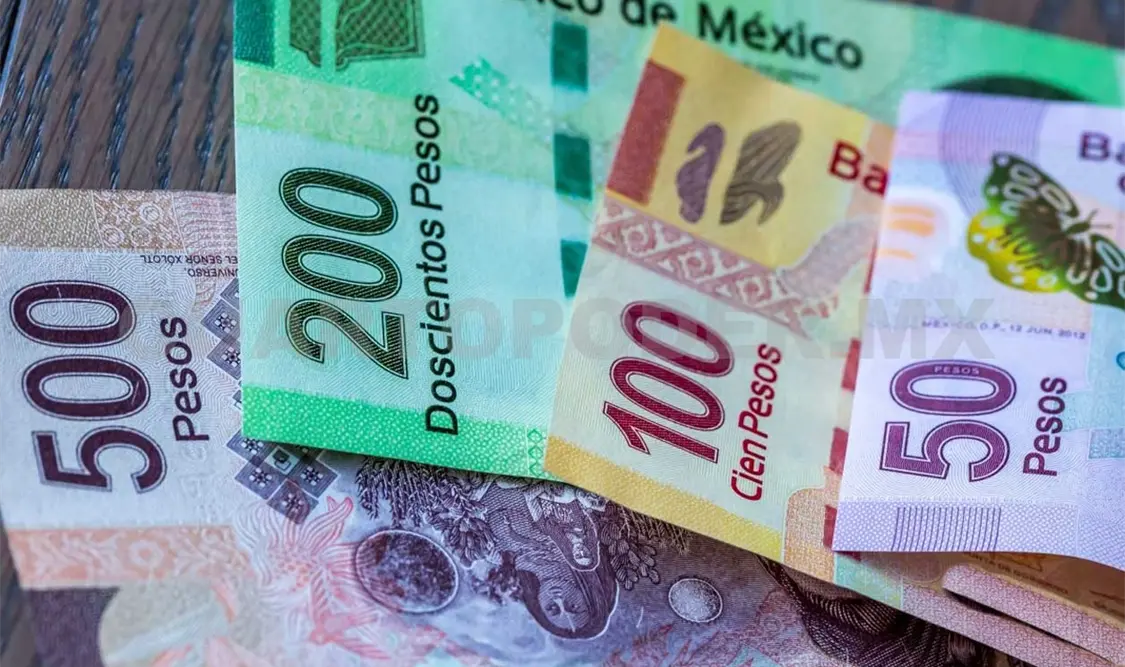 El investigador destacó que otro tema “preocupante” es el relacionado con la previsible caída de las remesas para este año en México. Cortesía