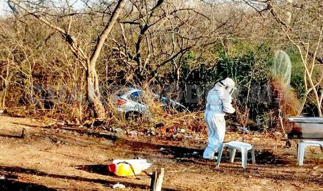 La camioneta de la marca Dodge color gris sufrió la salida de camino y a su paso derribó lo que se encontraba a su paso, incluyendo un enjambre de abejas africanas. CP